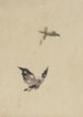 Papillon och nattfjäril - Katsushika Hokusai — vy av konstverket