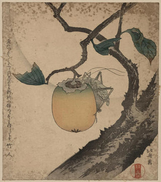 Katsushika Hokusai - Kaki ni kirigirisu.webp
