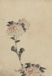 Blommor av rosor på en låg stjälk och två på en hög stjälk - Katsushika Hokusai — vy av konstverket