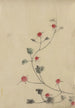 små röda blommor på en vinranka - Katsushika Hokusai — vy av konstverket