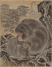 Singes - Kawanabe Kyōsai — vy av konstverket