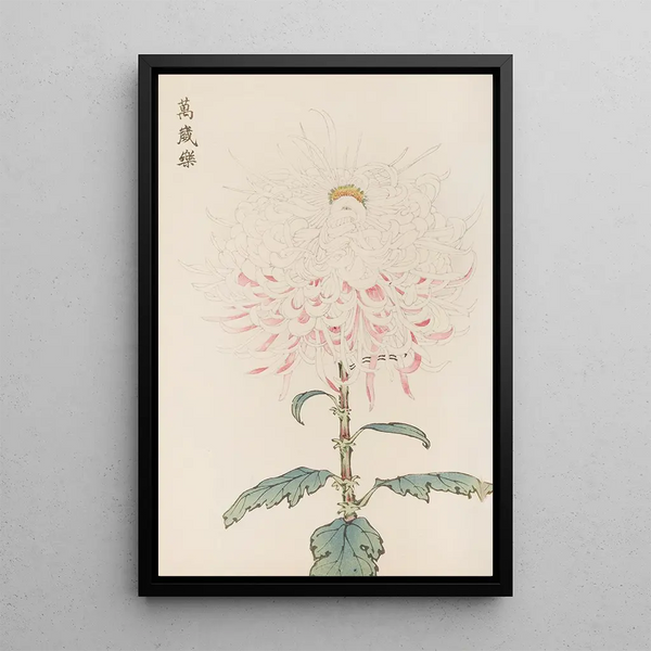 Keika Hasegawa - Keika hyakugiku Pl38.webp