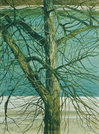 Klemens Brosch - Baumstudie an der Donau.webp