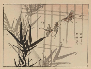 Bairei gafu, planche 68 - Kono Bairei — vy av konstverket