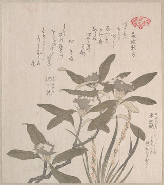 Kubo Shunman - Daphne odora and Mojisuriso.webp