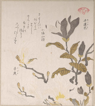 Kubo Shunman - Magnolia Flowers.webp