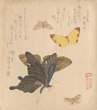 Kubo Shunman - The Painting Manual of Flock of Butterflies Guncho Gafu 5.webp
