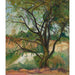 Reproduktion av målningen L: Träd - Suzanne Valadon