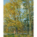 Reproduktion av målningen La baigneuse - Childe Hassam
