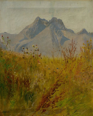 Ladislav Mednynszky - Lomnick Peak.webp
