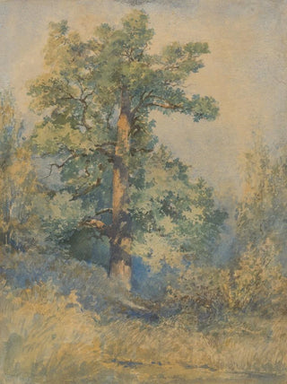 Ladislav Mednynszky - Sketch of a Tree.webp