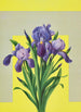 Iris - Lafayette F. Cargill — vy av konstverket