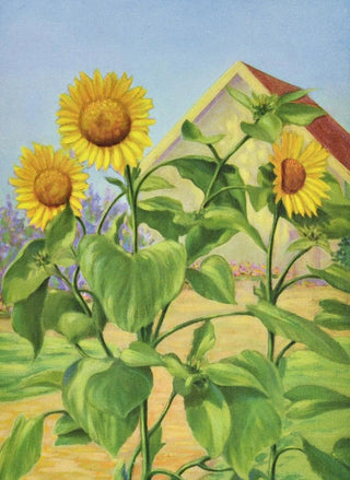 Lafayette F Cargill - Sunflower.webp