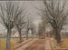 En väg nära Vindern, Zealand - Laurits Andersen Ring — vy av konstverket