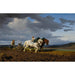 Reproduktion av målningen av "Le Labourage" - Rosa Bonheur