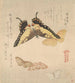 Le Manuel de peinture de Flock of Butterflies Guncho Gafu 3 - Kubo Shunman — vy av konstverket