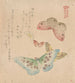 Le Manuel de peinture de Flock of Butterflies Guncho Gafu - Kubo Shunman — vy av konstverket