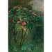 Reproduktion av målningen Le Rosier Fleuri - Gustave Caillebotte