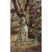 Reproduktion av målningen Le chien de l'artiste Flèche - Henri de Toulouse-Lautrec