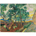 Reproduktion av målningen Le jardin de l'hôpital Saint-Paul - Vincent van Gogh