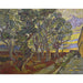 Reproduktion av målningen Le jardin de l'hôpital Saint-Paul - Vincent van Gogh