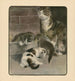Le livre du chat pl 2 - Elizabeth Fearne Bonsall — vy av konstverket