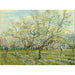 Reproduktion av målningen Le verger blanc - Vincent van Gogh