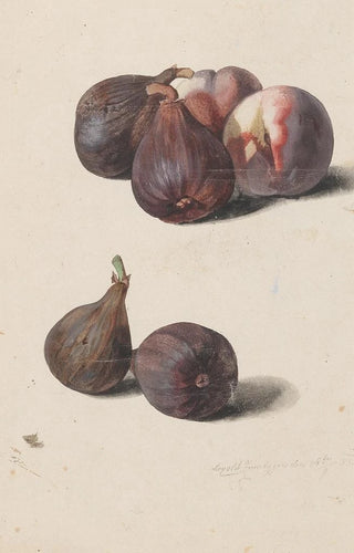 Leopold Zinngger - Feigen und Pfirsiche.webp