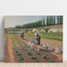 Reproduktion av målningen Les Jardiniers - Gustave Caillebotte