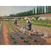 Reproduktion av målningen Les Jardiniers - Gustave Caillebotte