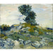 Reproduktion av målningen Les rochers - Vincent van Gogh
