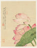 Blommor Pl. 04 - Liang Yuwei — vy av konstverket