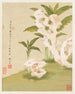 Fleurs Pl. 06 - Liang Yuwei — vy av konstverket