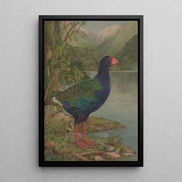 Lily Attey Daff - Untitled Takahe.webp