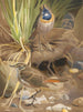 Gorge bleue - Léon-Paul Robert — vy av konstverket