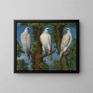 Lombard Master - Portrait Of A Gyrfalcon Viewed From Three Sides.webp