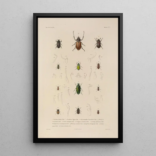 LouisIsidore Duperrey - Voyage autour du monde Pl068.webp