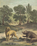La Lionne Et L'ours Lejonet Och Björnen - Louis-Simon Lempereur — vy av konstverket