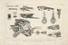Recherches sur les poissons fossiles Pl101 - Louis Agassiz — vy av konstverket