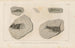 Recherches sur les poissons fossiles Pl133 - Louis Agassiz — vy av konstverket