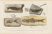 Forskningar på fossila fiskar Pl. 190 - Louis Agassiz — vy av konstverket