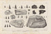 Recherches sur les poissons fossiles Pl214 - Louis Agassiz — vy av konstverket