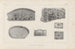 Recherches sur les poissons fossiles Pl261 - Louis Agassiz — vy av konstverket