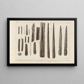 Louis Agassiz - Recherches sur les poissons fossiles Pl333.webp