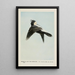 Bob the Meadow Lark - Louis Agassiz Fuertes — inramlat konstverk på väggen