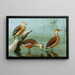 Dendrocygne siffleur, dendrocygne d'Amérique, fauve dendrocygne - Louis Agassiz Fuertes — inramlat konstverk på väggen