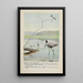 Rattles le Martin-pêcheur Teeter le Chevalier grivelé Longlegs le Grand Héron bleu - Louis Agassiz Fuertes — inramlat konstverk på väggen
