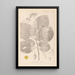 Herbier de la flore française Pl0029 - Louis Antoine Cusin — inramlat konstverk på väggen