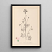 Herbier de la flore française Pl0033 - Louis Antoine Cusin — inramlat konstverk på väggen
