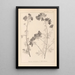 Herbier de la flore française Pl0036 - Louis Antoine Cusin — inramlat konstverk på väggen